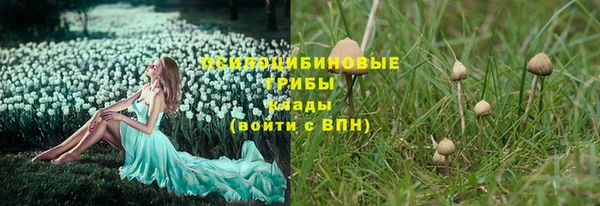 экстази Алексин