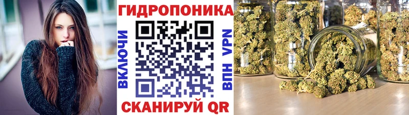 сайты даркнета какой сайт  где купить наркотик  Черкесск  Канабис индика 